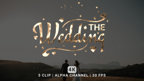 Videohive - The Wedding Text Animation - 48033598 - 48033598