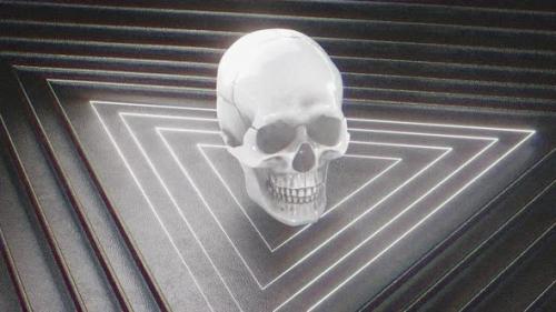 Videohive - Black And White Skull - 48034612 - 48034612