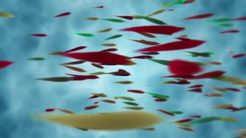 Videohive - Colorful Tropical Fish Swimming Motion Background - 48034685 - 48034685