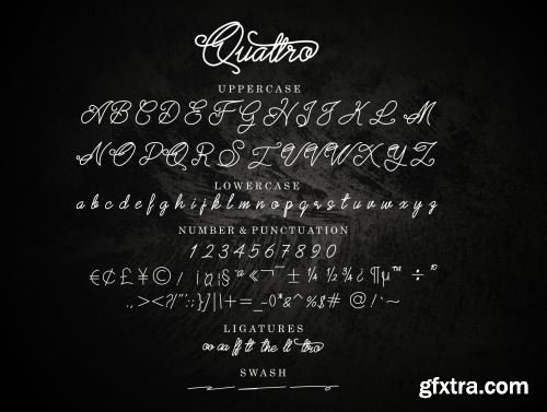 Quattro Script Font Ui8.net