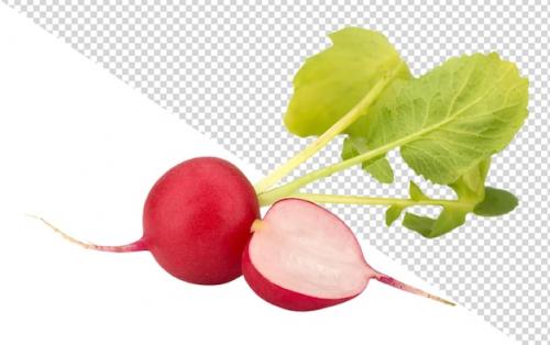 Premium PSD | Radish png Premium PSD