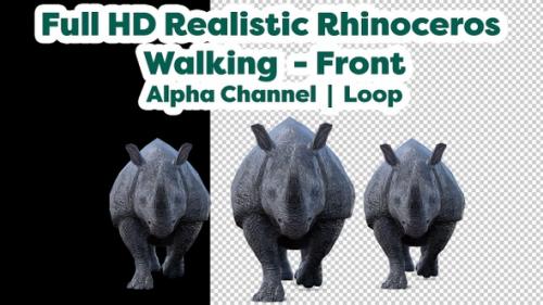 Videohive - Full HD Realistic Rhinoceros Walking Front - 48046037 - 48046037