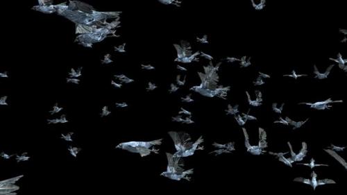 Videohive - 22 Crow Bird Bat Flying HD - 48078578 - 48078578