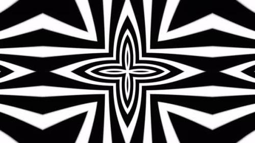 Videohive - Black and white picture of flower. Kaleidoscope VJ loop - 48042826 - 48042826