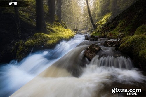 Fredik Stromme - The Fairy Tale Forest