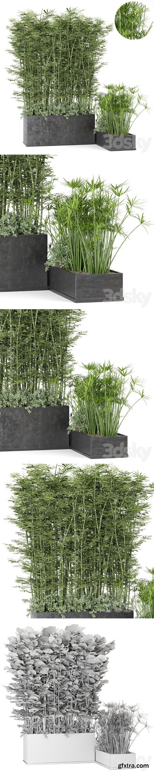 Outdoor Plants Bamboo in rusty Concrete Pot -Set 246