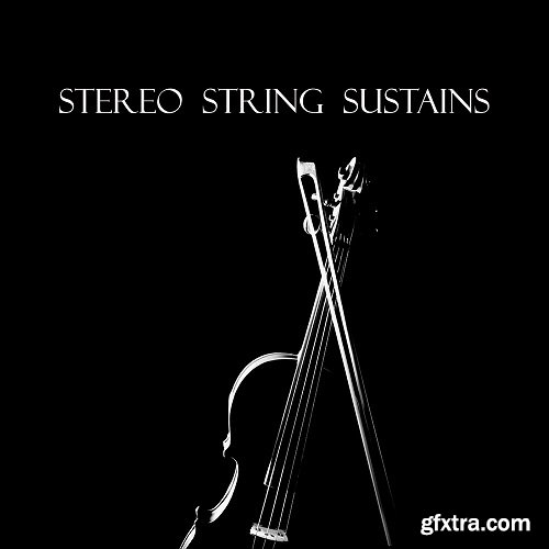 Beautiful Void Audio Stereo String Sustains