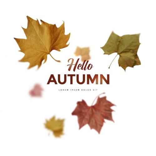 Premium PSD | Autumn leaves card Premium PSD