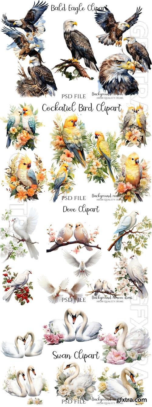 Swan, parrots, pigeons, two birds with words love, cockatiel bird, bald eagles bird - PSD illustration cliparts set