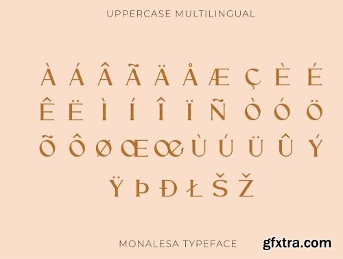 Monalesa - New Vintage Typeface Ui8.net