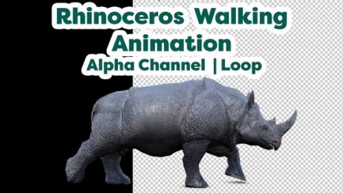 Videohive - Full HD Realistic Rhinoceros Walking - 48040264 - 48040264