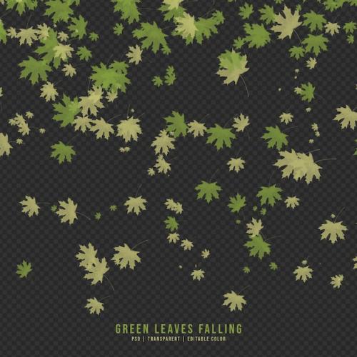 Premium PSD | Falling green and dry leaves isolated on transparent background Premium PSD