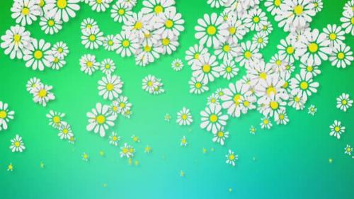 Videohive - Growing Flowers Background - 48041938 - 48041938