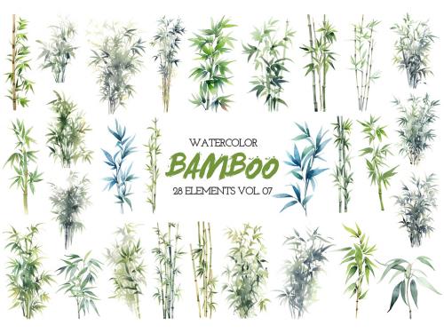 Watercolor painted bamboo clipart. Hand drawn design elements isolated on white background. 646516053