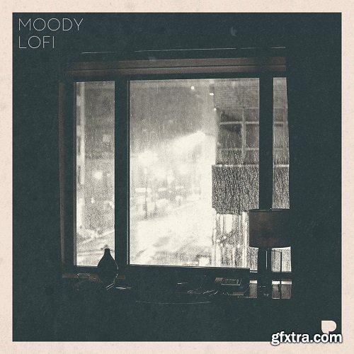 Poldoore Moody LoFi Sample Pack