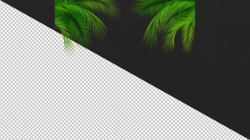 Videohive - Palm Leaves Moving Alpha - 48056305 - 48056305