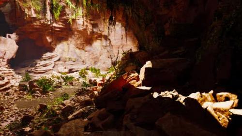 Videohive - A Cave Filled with Natural Rock Formations and Lush Vegetation - 48093713 - 48093713