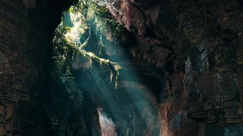 Videohive - A Stunning Cave Illuminated By Volumetric Light Showcasing a Lush Green Plants - 48094383 - 48094383