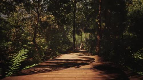 Videohive - Sunlit Trail of Aged Wood Winds Through the Jungle - 48097364 - 48097364