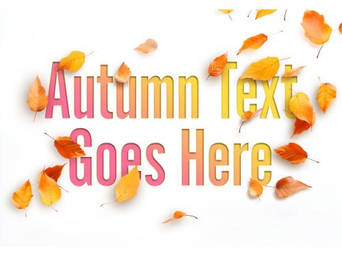 Autumn Paper Marketing Mockup 648159021