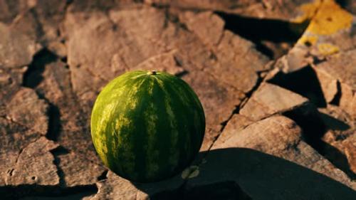 Videohive - Watermelon Fruit Berry on Rocky Stones - 48098660 - 48098660