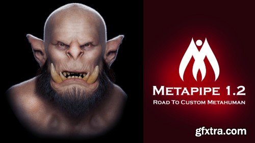 Road to Custom Metahuman | Metapipe (Custom Metahuman & Expressions Tool)