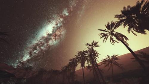 Videohive - The Milky Way Rises Over Plam Trees - 48099519 - 48099519
