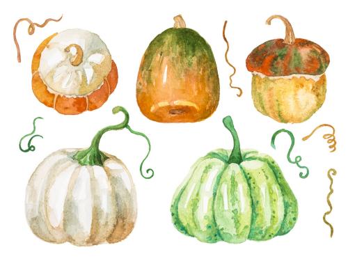 Abstract watercolor collection of autumn pumpkins. Hand drawn nature design elements isolated on white background. 647202763