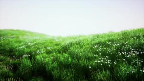 Videohive - Landscape View of Green Grass on Slope at Sunrise - 48099646 - 48099646