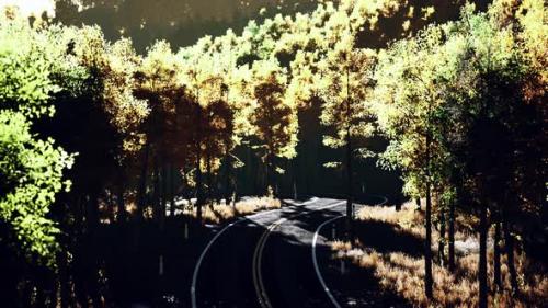 Videohive - Road and Yellow Mountain Forest at Sunset - 48100161 - 48100161