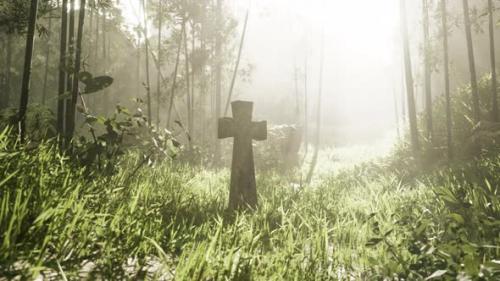 Videohive - Mossy Cross Marking a Burial Site in the Jungle - 48126591 - 48126591