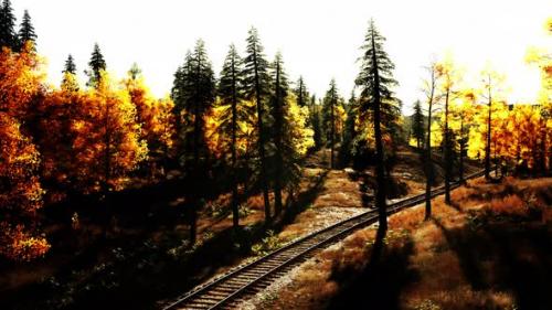 Videohive - Weathered Railway Disappearing Into the Woods at Dusk - 48126749 - 48126749