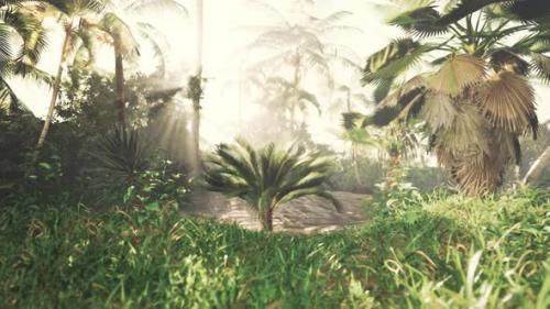 Videohive - Glowing Sunlight Filtering Through Palm Fronds - 48126910 - 48126910