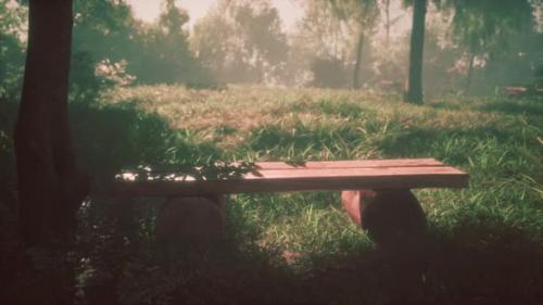 Videohive - Cosy Wooden Bench Under a Tree in Idyllic Rural Landscape with Sun Shining - 48127115 - 48127115