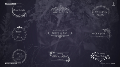 Videohive - Wedding Titles | DR - 48079233 - 48079233