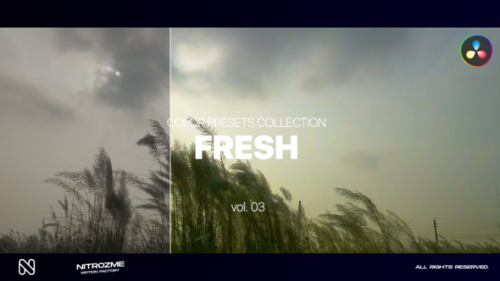 Videohive - Fresh LUT Collection Vol. 03 for DaVinci Resolve - 48141082 - 48141082