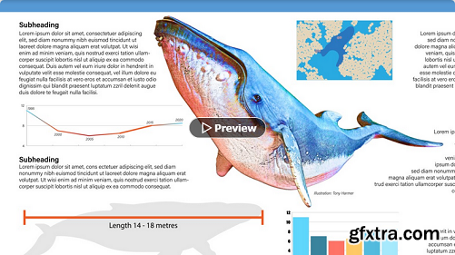 Creating Illustrator Infographics