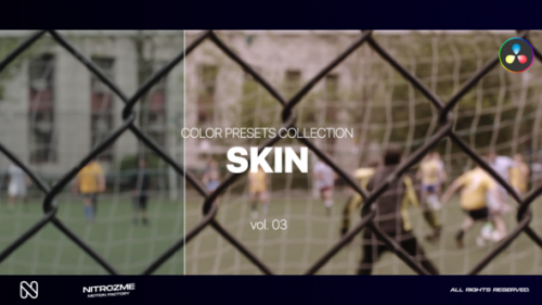 Videohive - Skin LUT Collection Vol. 03 for DaVinci Resolve - 48141178 - 48141178