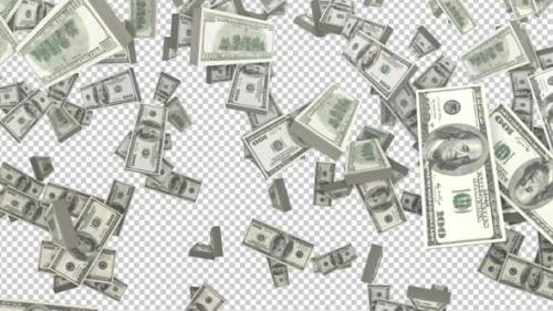 Videohive - Falling 100 Dollars Banknote Currency on Alpha Channel, Loop - 48065581 - 48065581