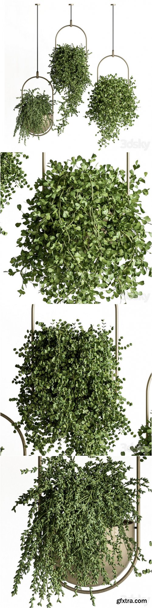 indoor Plant Set 410 – Hanging Plants 