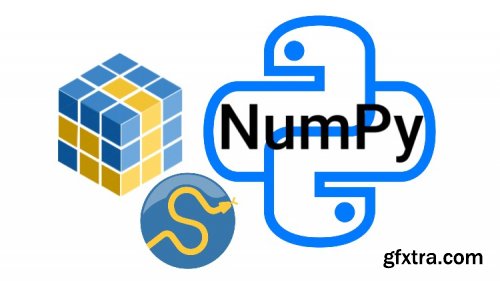 Udemy Python for Data Science: Numpy and Pandas Libraries for Data