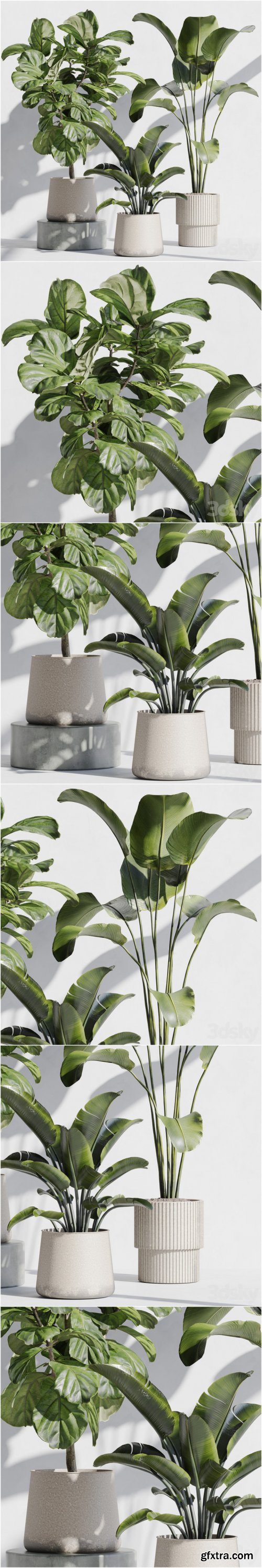 Indoor plant set 67 