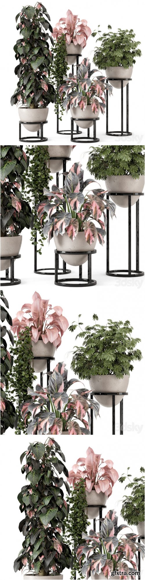 Indoor Plants in rusty Concrete Pot on Metal Shelf – Set 964