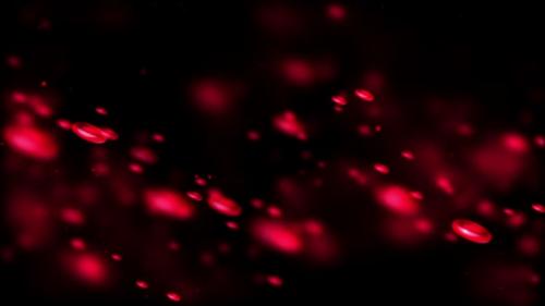 Videohive - Blood cells floating on a black background - 48068172 - 48068172