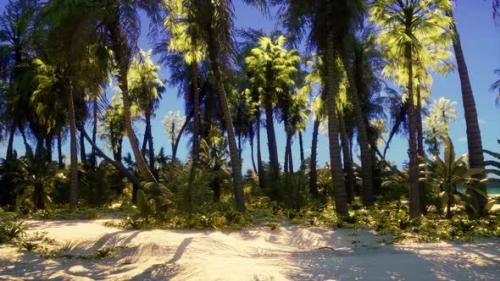 Videohive - A Tropical Paradise Beach with Palm Trees and Clear Blue Skies - 48093958 - 48093958