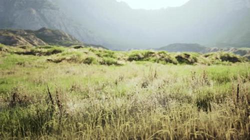 Videohive - Barren Rocky Mountain Landscape with Dry Grass and Numerous Stones - 48126642 - 48126642