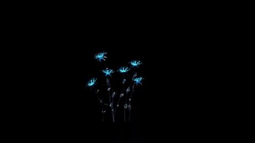 Videohive - Growing Blue Flowers - 48077553 - 48077553