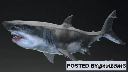 MEGALODON - Sea Monster Series 5 v4.26-4.27, 5.0-5.1