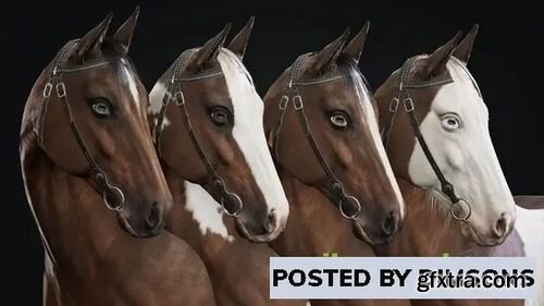 Horse Herd v4.27, 5.0-5.1