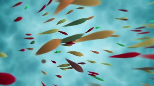 Videohive - Colorful Tropical Fish Swimming Motion Background - 48099206 - 48099206